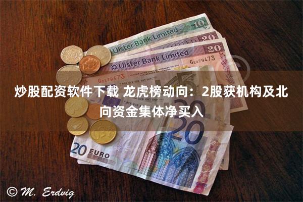 炒股配资软件下载 龙虎榜动向：2股获机构及北向资金集体净买入