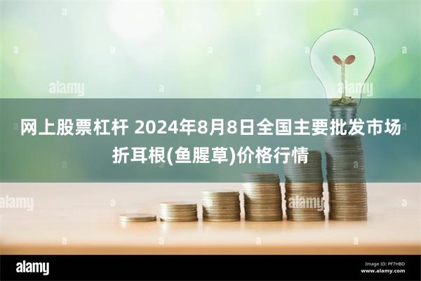 网上股票杠杆 2024年8月8日全国主要批发市场折耳根(鱼腥草)价格行情