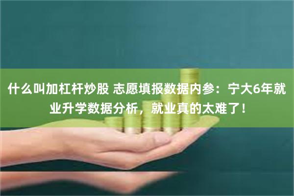 什么叫加杠杆炒股 志愿填报数据内参：宁大6年就业升学数据分析，就业真的太难了！