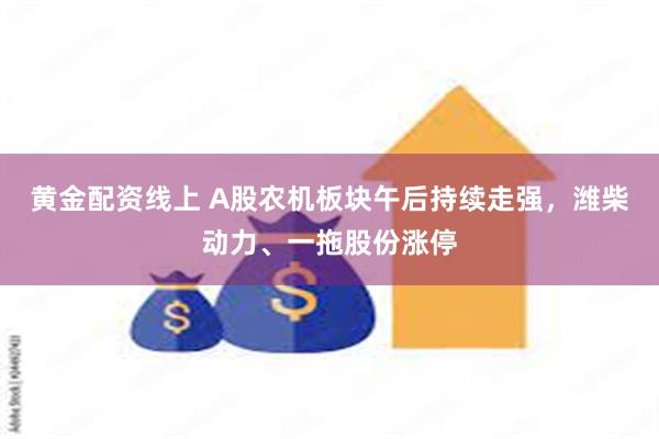 黄金配资线上 A股农机板块午后持续走强，潍柴动力、一拖股份涨停