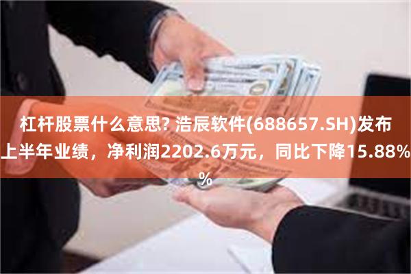 杠杆股票什么意思? 浩辰软件(688657.SH)发布上半年业绩，净利润2202.6万元，同比下降15.88%