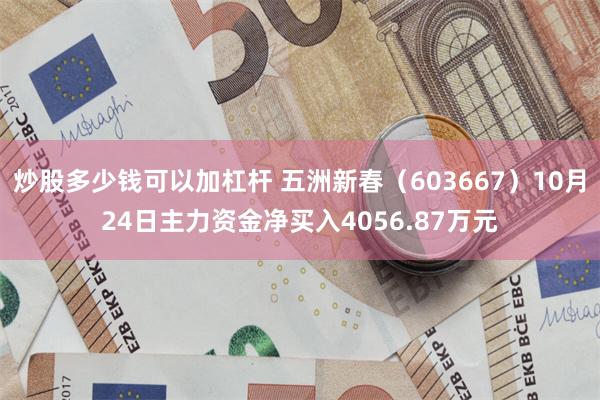 炒股多少钱可以加杠杆 五洲新春（603667）10月24日主力资金净买入4056.87万元