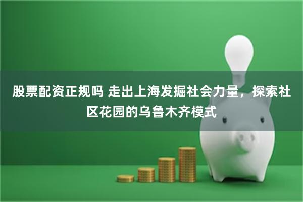 股票配资正规吗 走出上海发掘社会力量，探索社区花园的乌鲁木齐模式