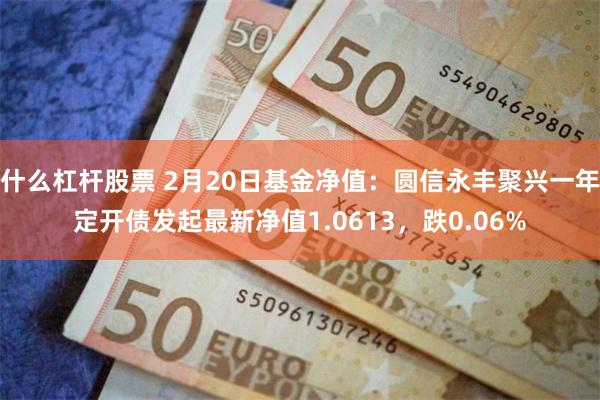 什么杠杆股票 2月20日基金净值：圆信永丰聚兴一年定开债发起最新净值1.0613，跌0.06%