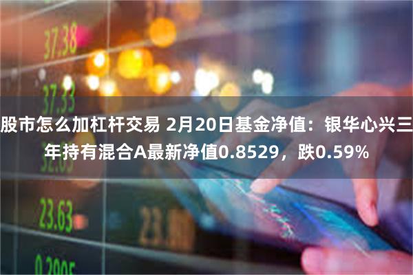 股市怎么加杠杆交易 2月20日基金净值：银华心兴三年持有混合A最新净值0.8529，跌0.59%