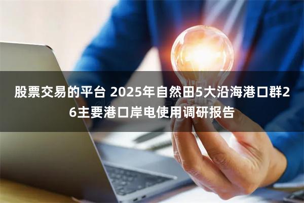 股票交易的平台 2025年自然田5大沿海港口群26主要港口岸电使用调研报告